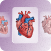 Scientific illustration generator